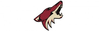 NHL, hokejový, klub, Arizona, Coyotes